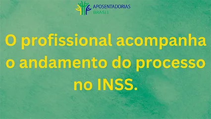 O profissional acompanha o andamento do processo